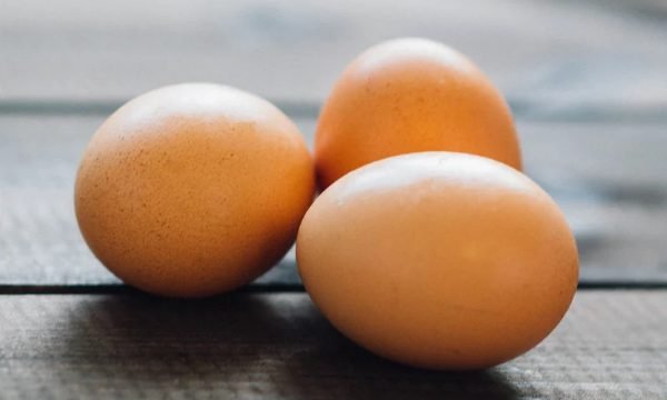 Egg Protein Food